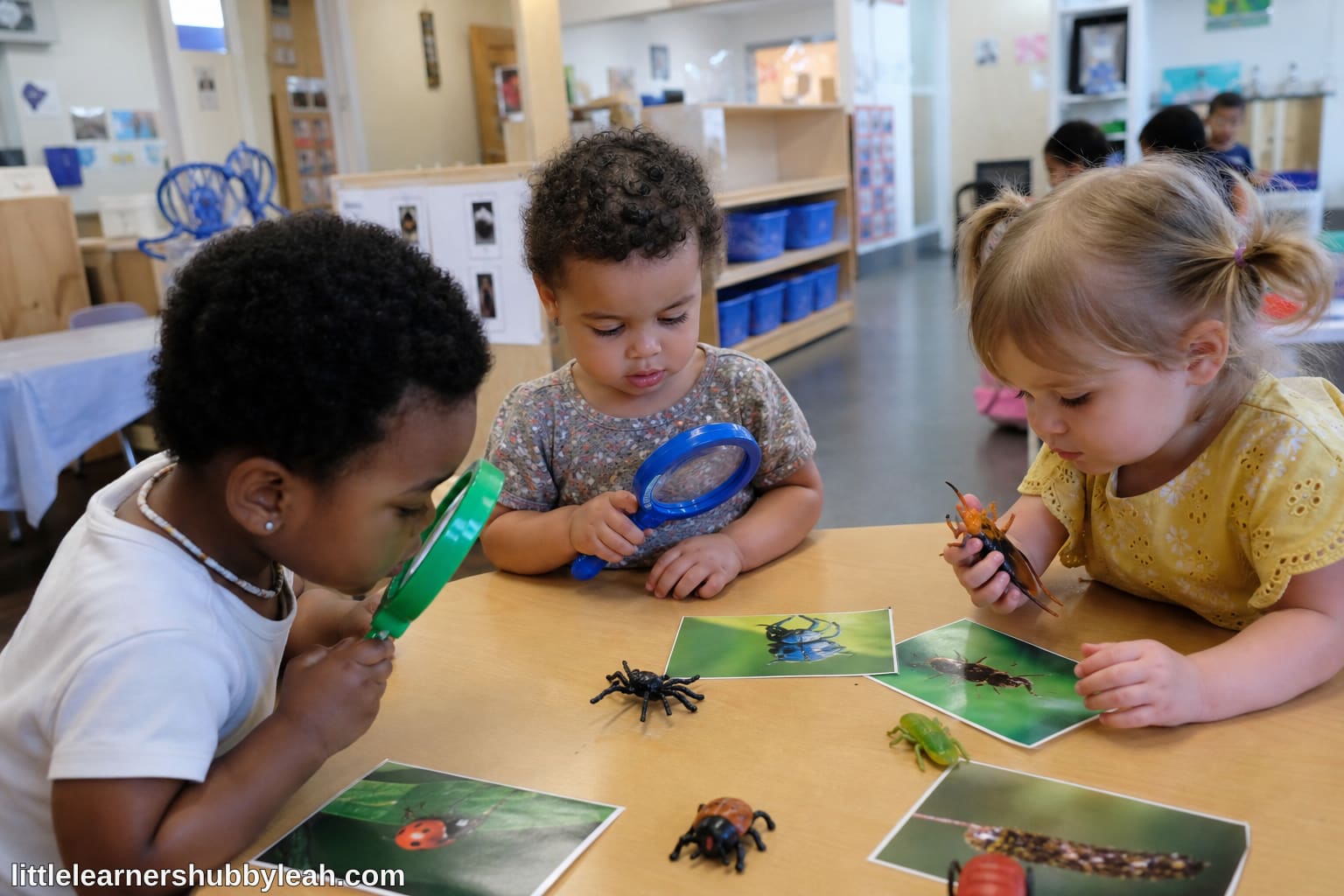 Bugs & Butterflies classroom activity